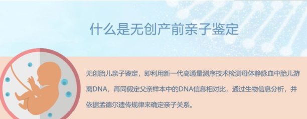 怀孕几个月来宾如何做孕期亲子鉴定,来宾办理孕期亲子鉴定结果准确吗